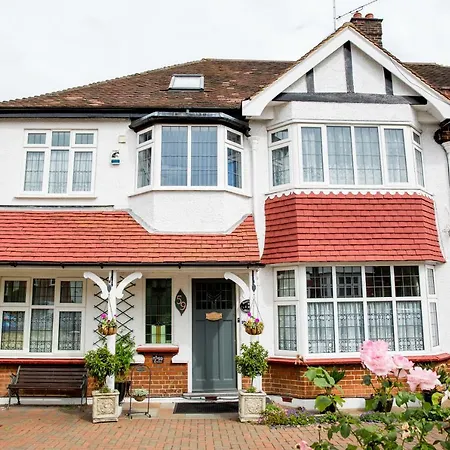 Bay Tree House Bed & Breakfast